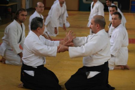 Hekim gözüyle Aikido