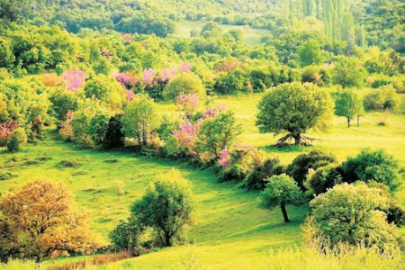 Kaz Dağları’nda Kral Midas’ın laneti dolaşıyor: Altın madenciliği ve sağlık