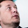 elon-musk_insan-beyni