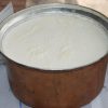 yogurt-mayalama
