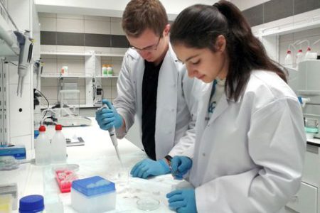 Araştırma üniversitelerinin performans sıralaması açıklandı