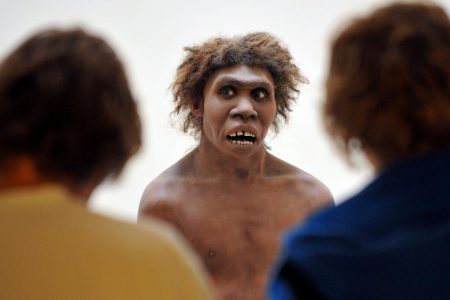 Tüm modern insanlarda Neandertal DNA’sı bulunduğu belirlendi