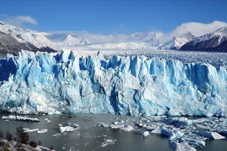 İklim değişikliği, 50 yıl içinde canlı türlerinin üçte birini yok edebilir