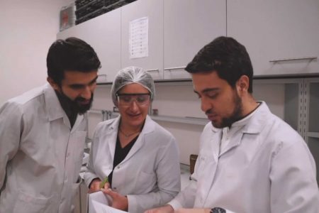 Türkiye’de zeytin çekirdeğinden biyoplastik üretiliyor