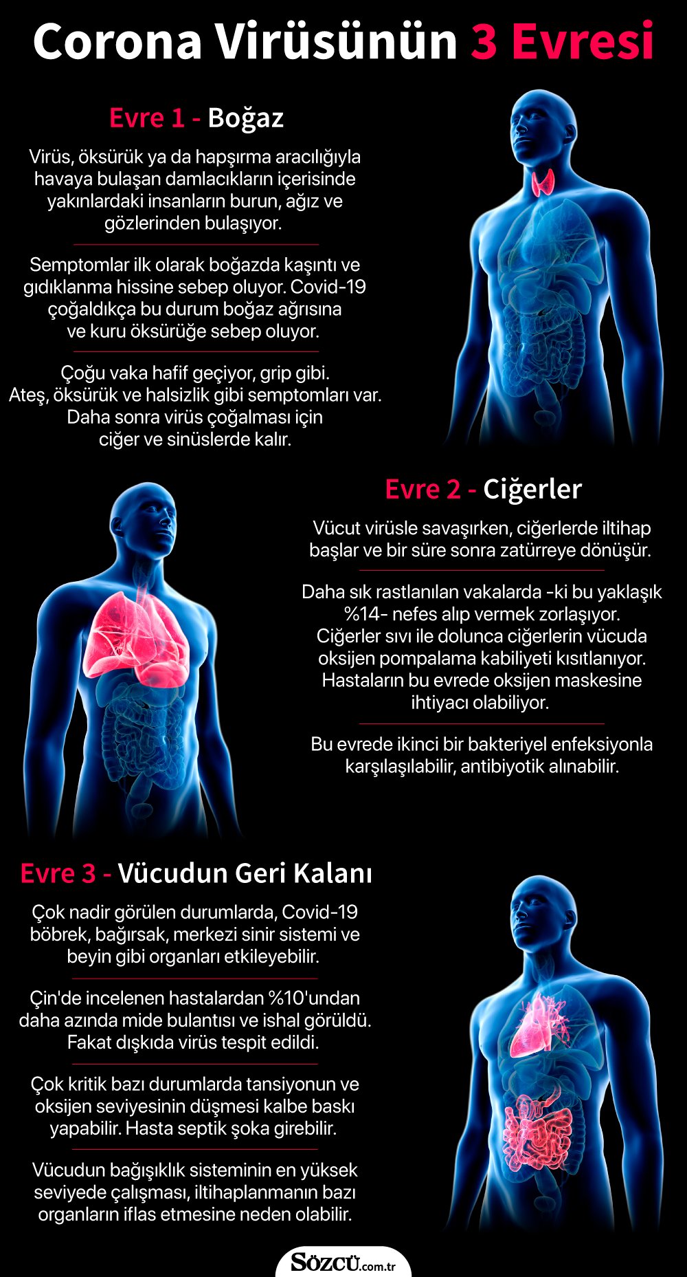 koronavirus-graf