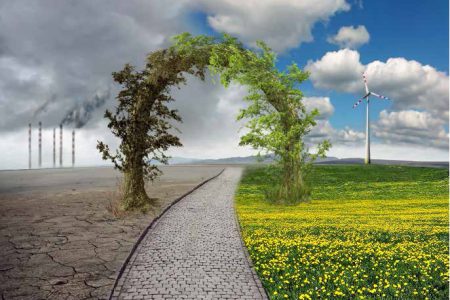 Tacını Kaybeden İnsanlık…