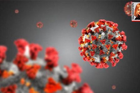 Türkiye salgınla mücadelede neleri doğru neleri yanlış yaptı?