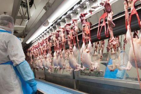 Koronavirüs de dahil tüm ‘zoonotik’ hastalıkların sorumluluğu insana ait