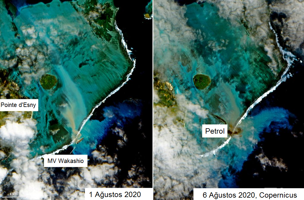 mauritus