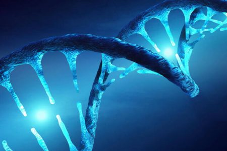 Ağır seyreden koronavirüs vakalarının sorumlusu Neandertal genleri mi?