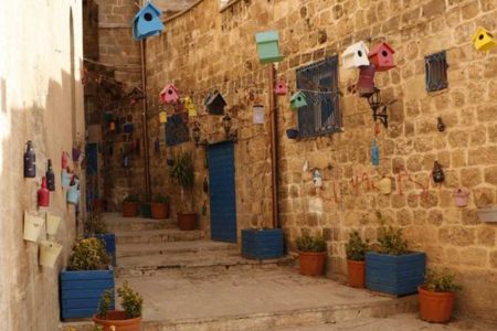 Tek başına bir orman kurmak: Mardin’de 11 bin ağaç diken ‘Şeyhmus Amca’nın hikayesi