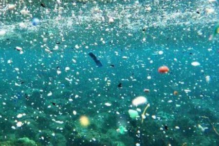 Günden güne büyüyen tehlike: Mikroplastikler