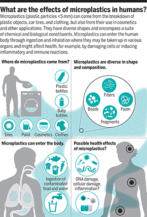 mikroplastik