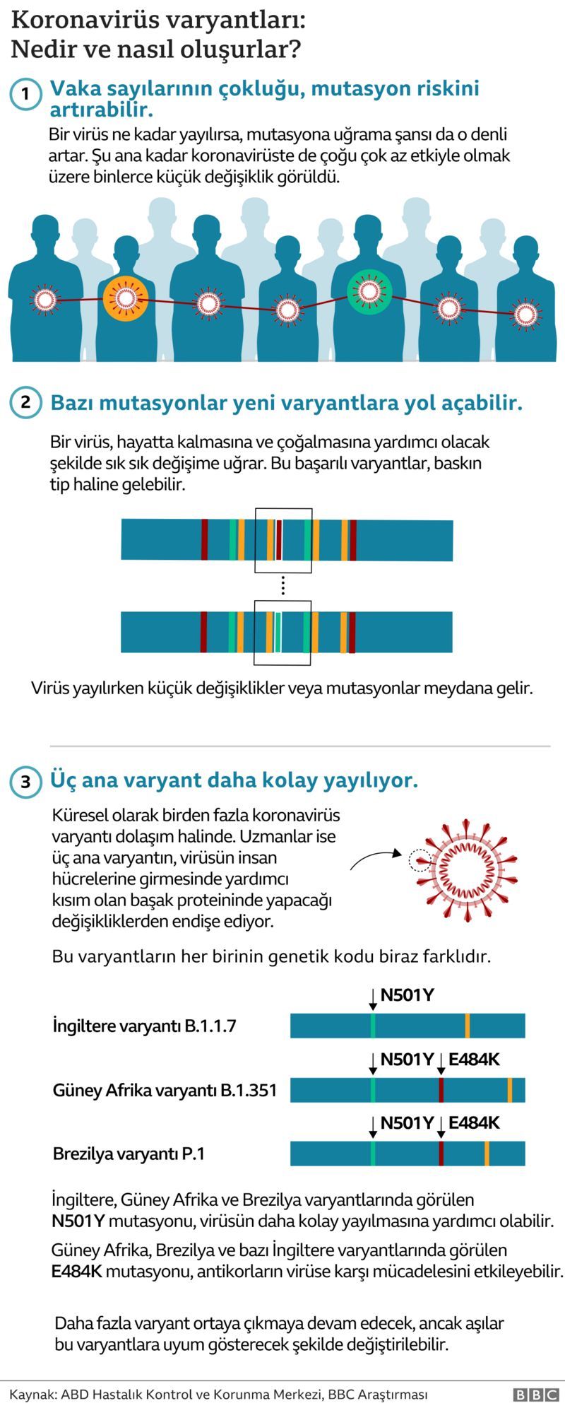 covid-mutasyon_grafik