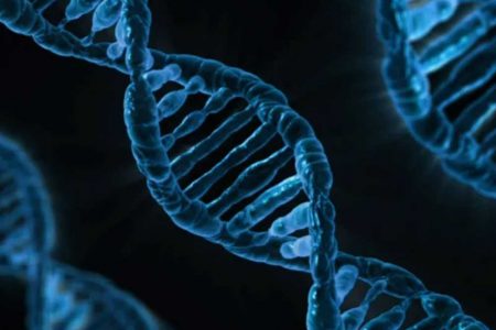 En eski Homo sapiens DNA’sı Neandertal kökenlerimizi ortaya koyuyor