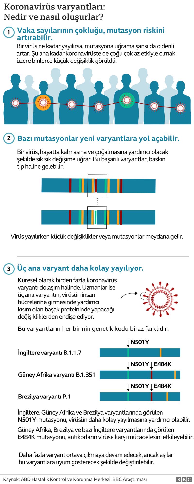koronavirus-varyantlari