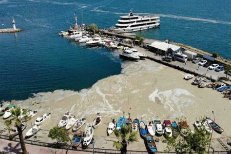 Deniz salyasının ekonomik etkileri olacak mı?