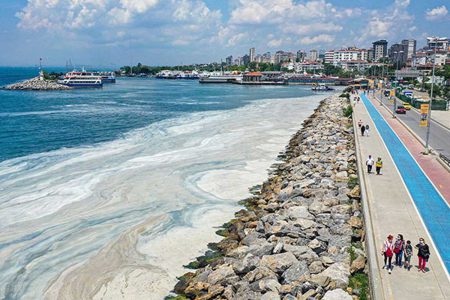 Müsilajlı denize girenlerde ağız, mide-bağırsak, cilt enfeksiyonları ve kadınlarda vajinal enfeksiyonlar yaşanabilir