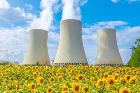 Çernobil’de Harikalar Yaratan Ayçiçekleri, Fukushima’da Neden Başaramadı?
