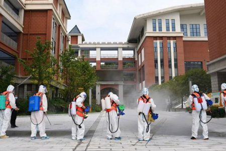 WHO, koronavirüsün kökenini tespit etmek için danışma grubu kurdu