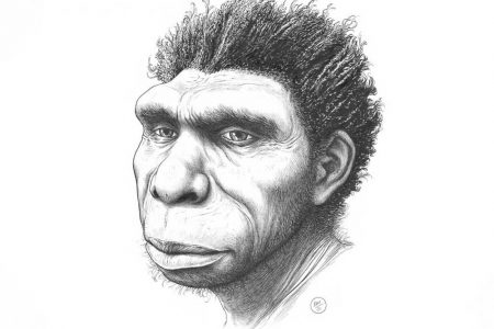 İnsanların Yeni Atası: Homo bodoensis