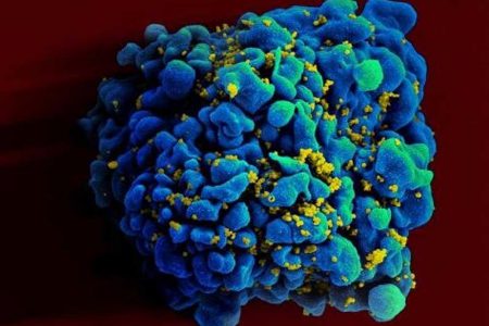 Deneysel mRNA HIV Aşısı, Hayvanlarda İşe Yarıyor