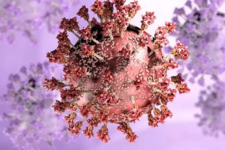 Omicron varyantı nasıl ortaya çıktı, koronavirüsle mücadelede neden önemli?