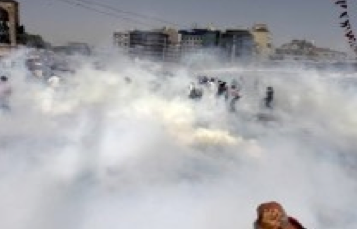 gezi tabipler