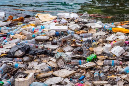 Plastik Ayrıştıran Yeni Enzim, Milyarlarca Ton Atığı Ortadan Kaldırabilir