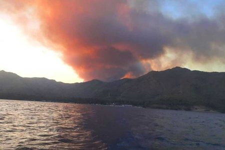 Muğla-Marmaris-Bördübet Yangını Hızlı Değerlendirme Raporu