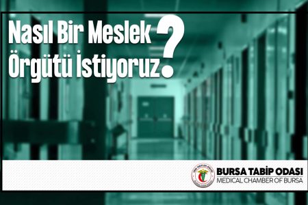 Nasıl Bir Meslek Örgütü İstiyoruz?