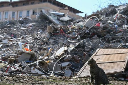 10 soruda deprem sonrası enkaz çalışmaları ve asbest