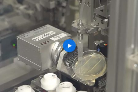 İdrarda kanser koklayan solucanlar erken teşhisle hayat kurtarabilir