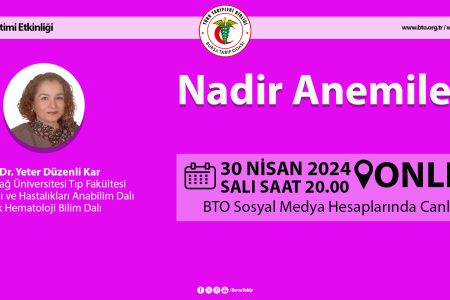 Nadir Anemiler STE Etkinliğinde Değerlendirildi