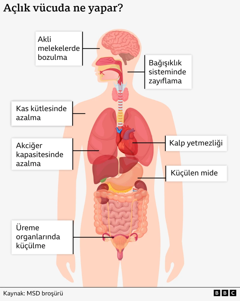 aclik-vucutta-ne-yapar