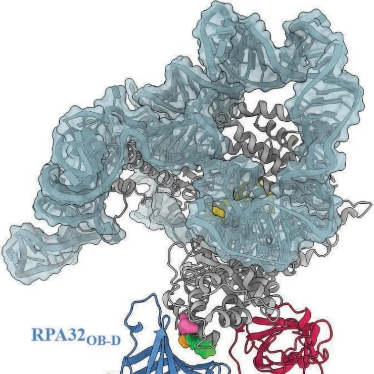 olumcul-hastalik-protein2